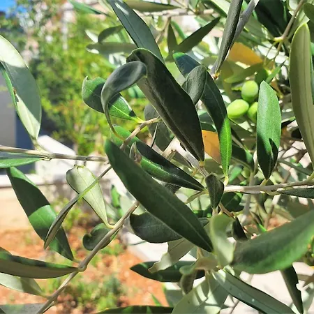 Al Mar - Zf Hvar דירה *