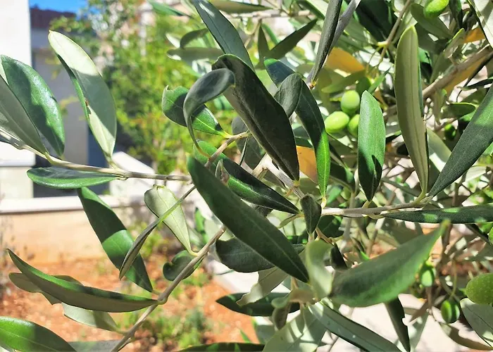 Al Mar - Zf Hvar 公寓 *